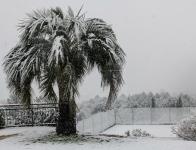 Neige Février 2018