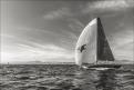 Voiles de St Tropez2