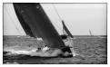 Voiles18