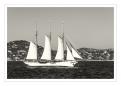 Voiles28