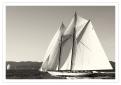 Voiles1