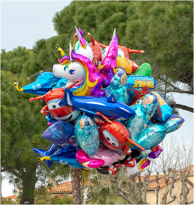 2018 Corso Ste Maxime