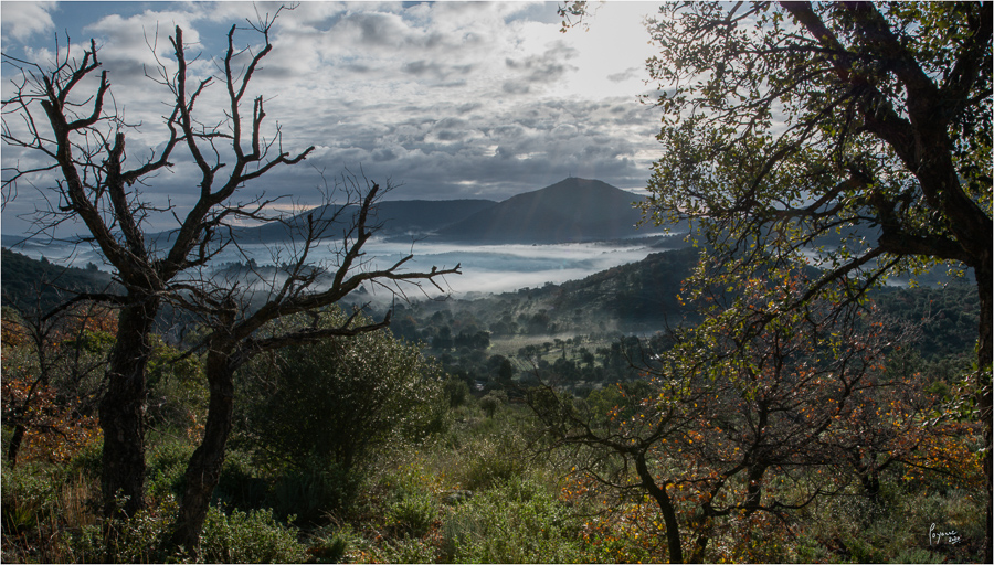 2020 Janvier Brumes Plan-12