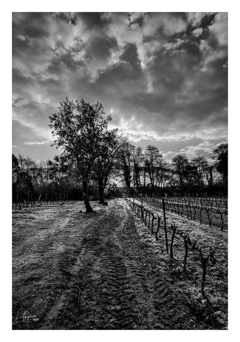 2020 Janvier Brumes Plan-4