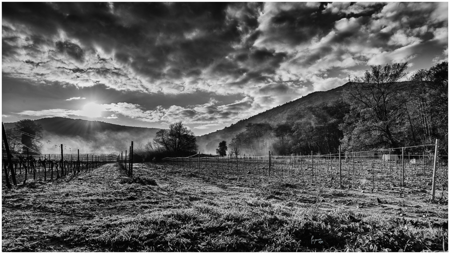 2020 Janvier Brumes Plan-5