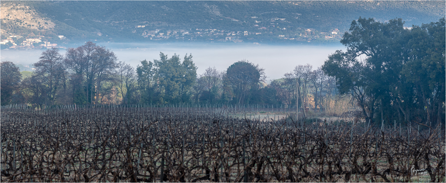 2020 Janvier Brumes Plan