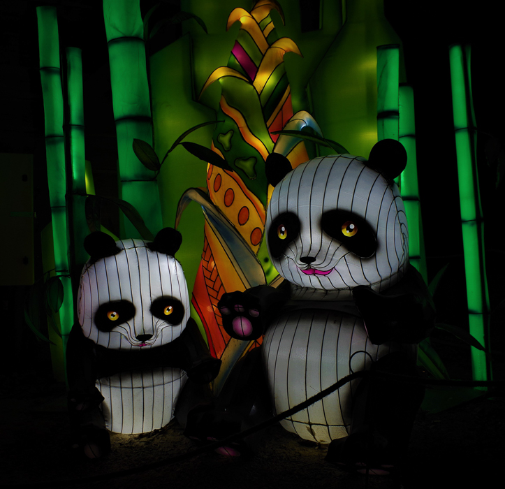 2020 Nice Parc Phoenix-3