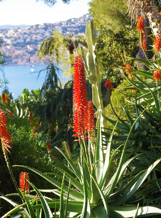 2020 Nice villa Ephrussi ext.-8