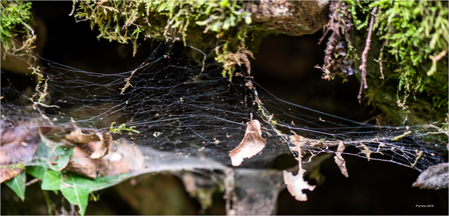 Cascade de Gourbachin-5