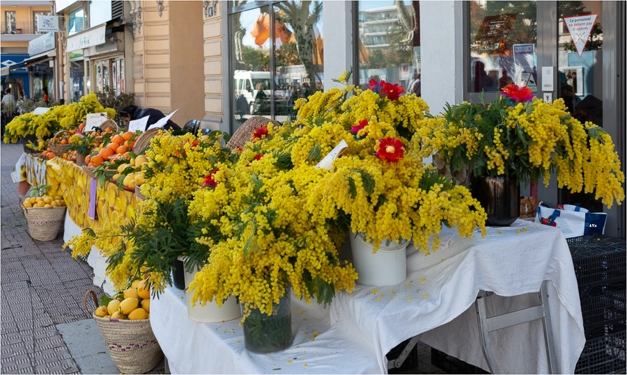 Fête du citron Menton