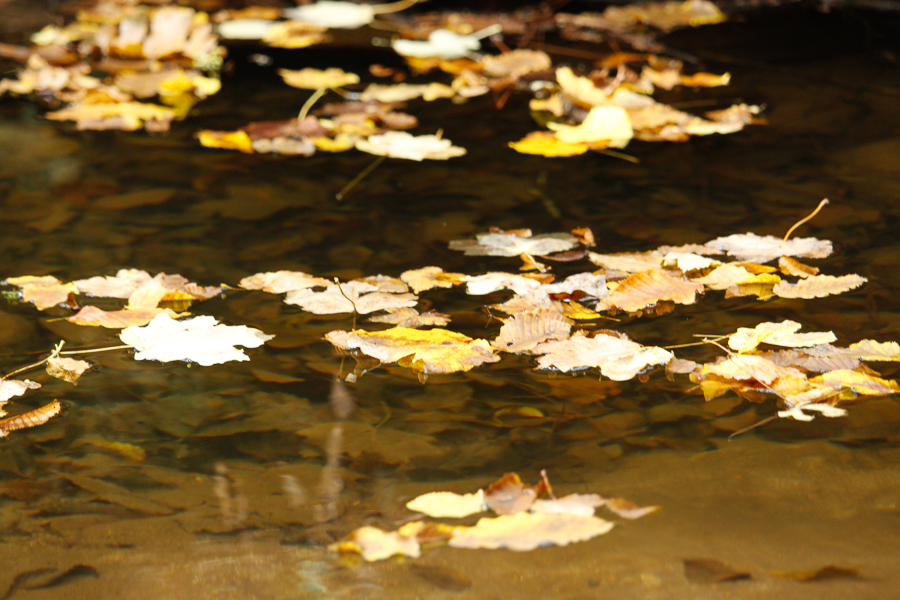 cascade de Gourbachin