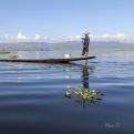 Claude D Lac Inle