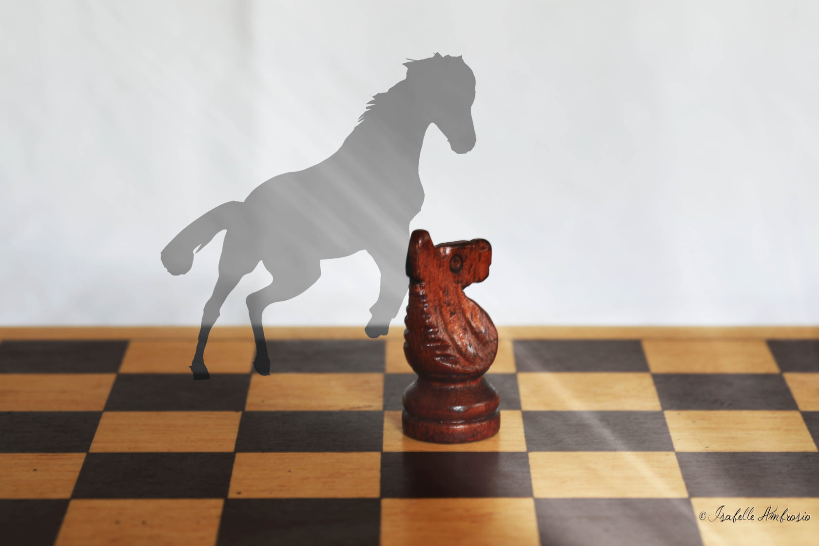 Isabelle échiquier