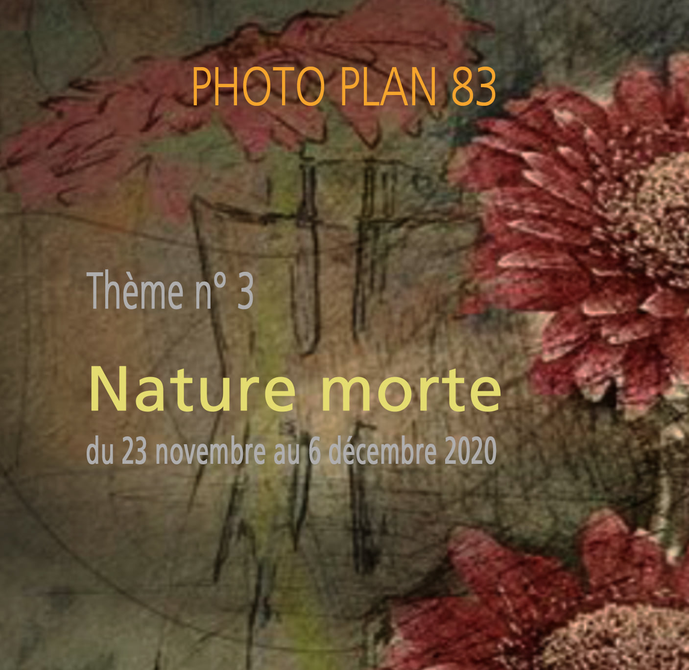 Isabelle visuel nature morte