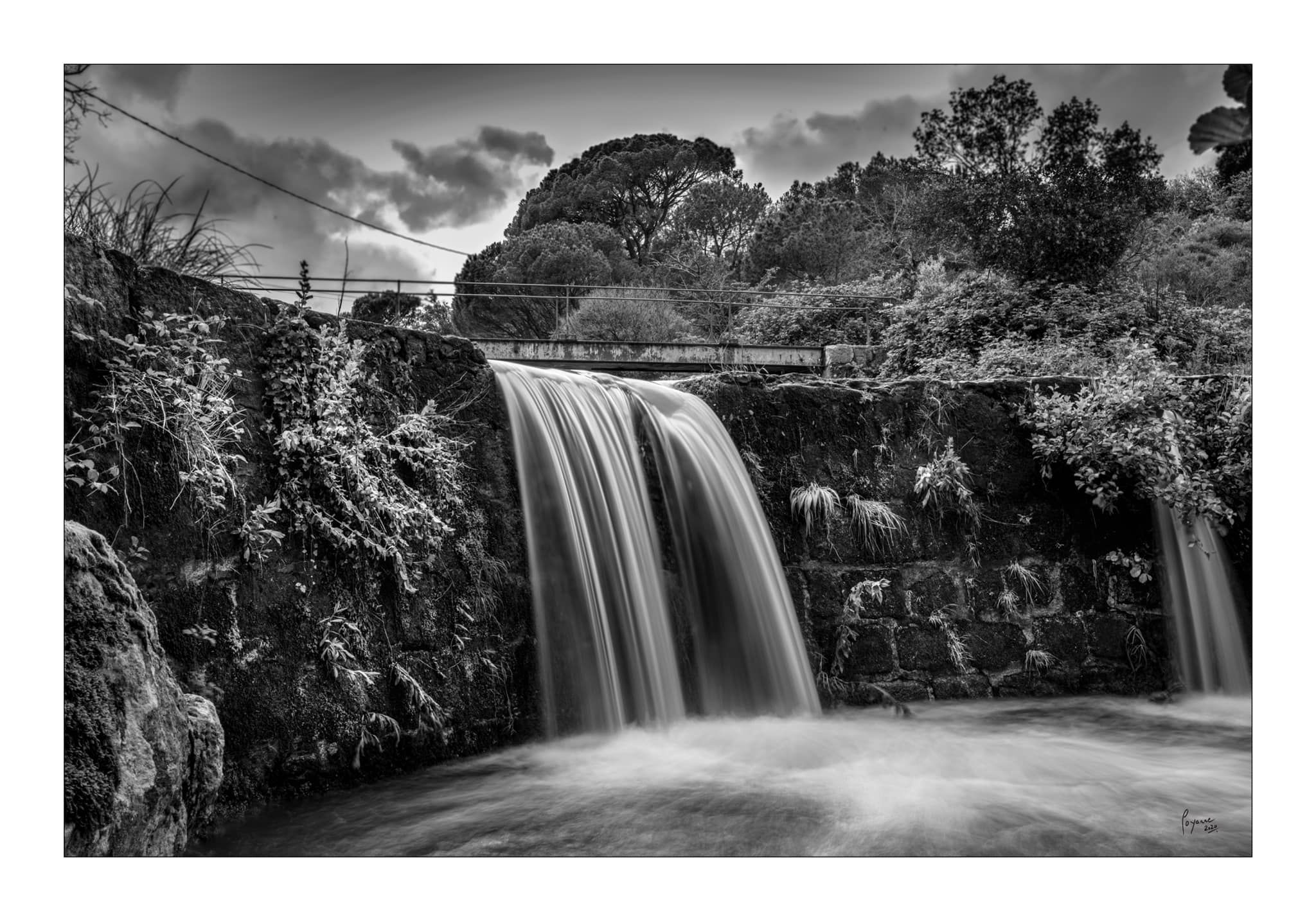 Patrick V Préconil