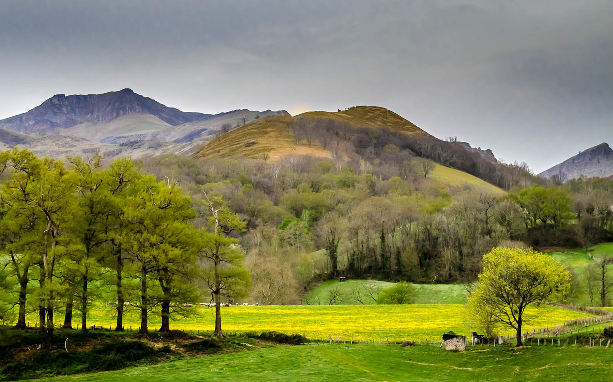 St-Etienne-de-Baigorry-2014-19print