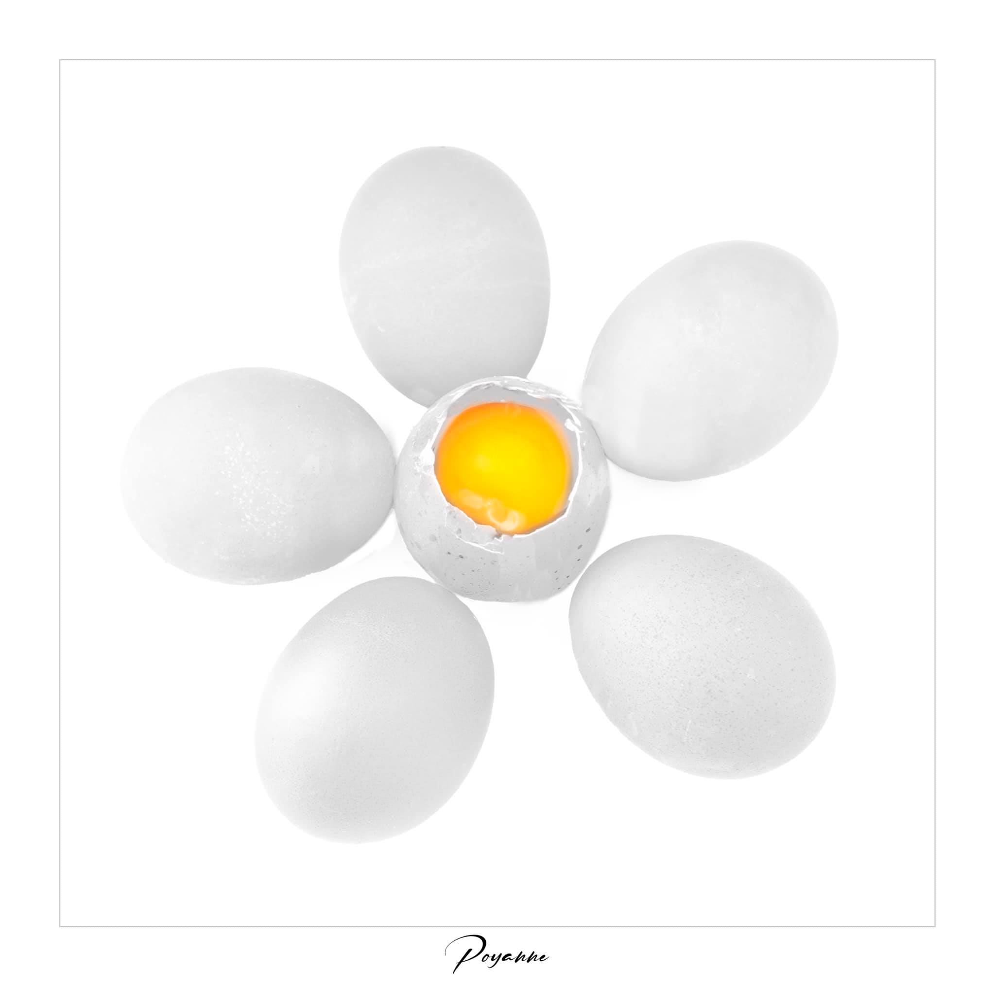 oeufs Patrick V.